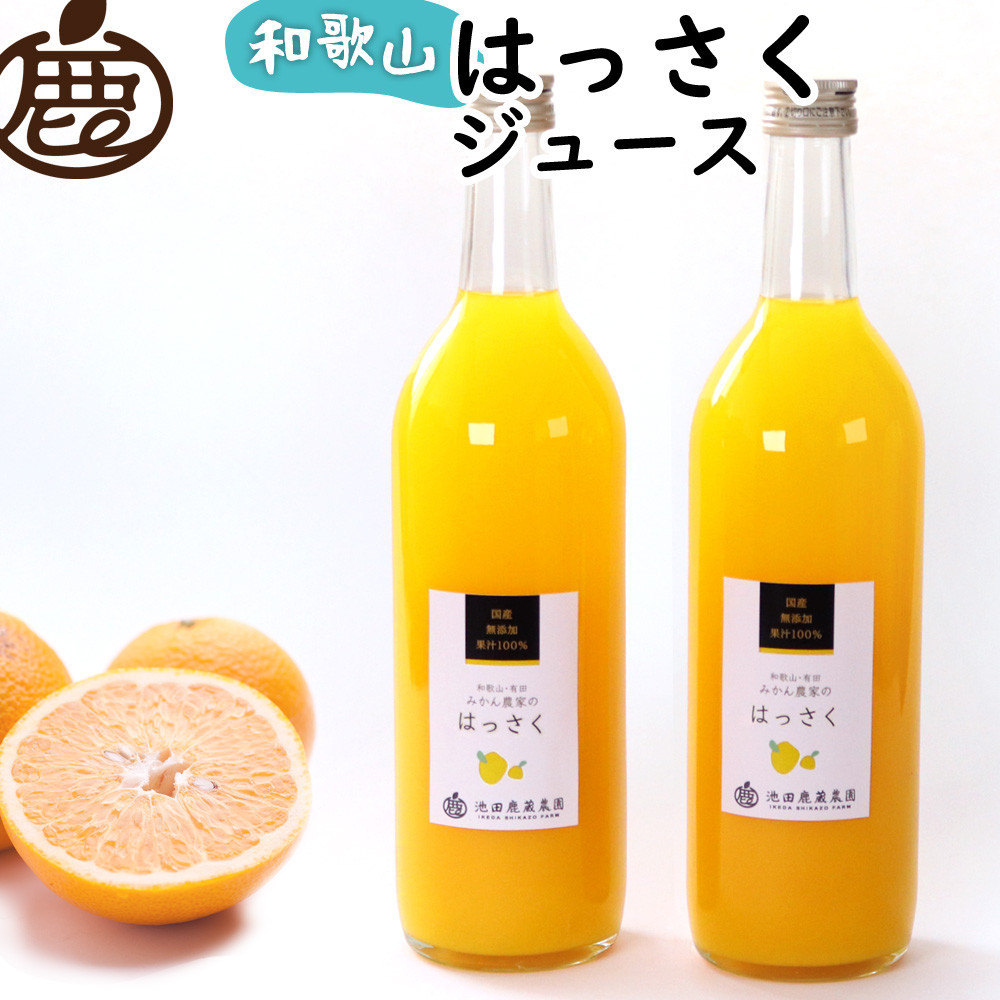 Y͂W[X 720ml×2{mIKE262na̎R쒬10000Eʏ`E؈