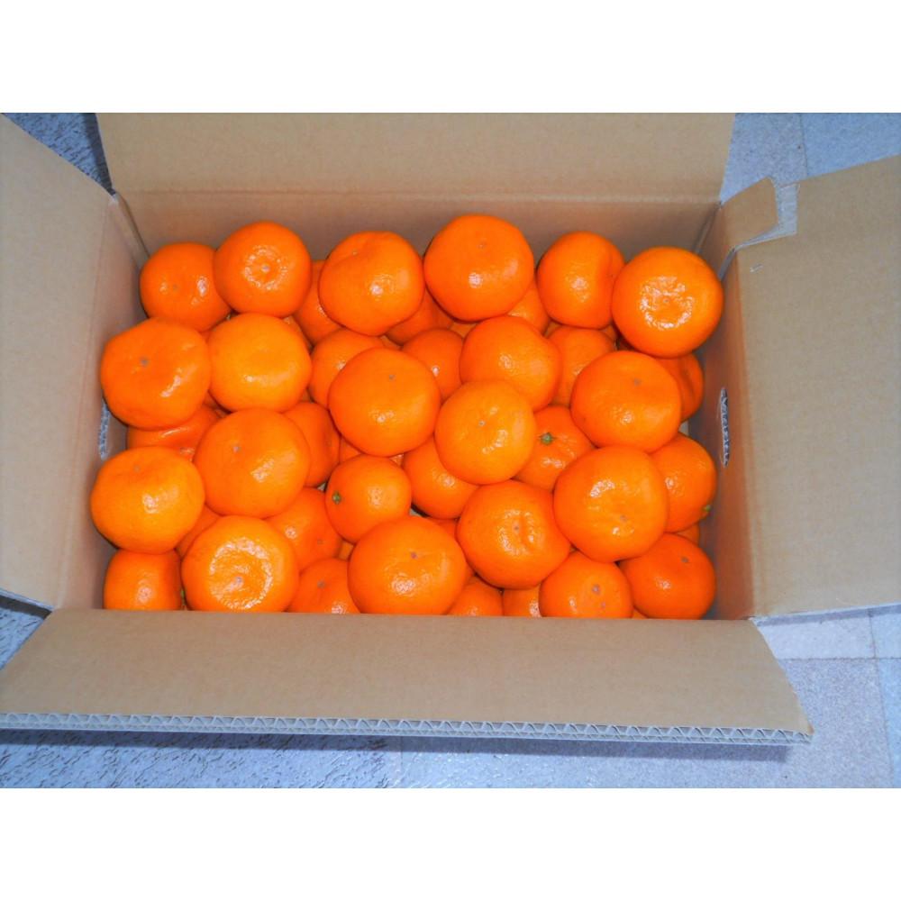 IBLc݂ Gi 5kg TCY܂ikEMESjꂩ͂mSL48na̎R쒬14000ʕEt[c݂Ek