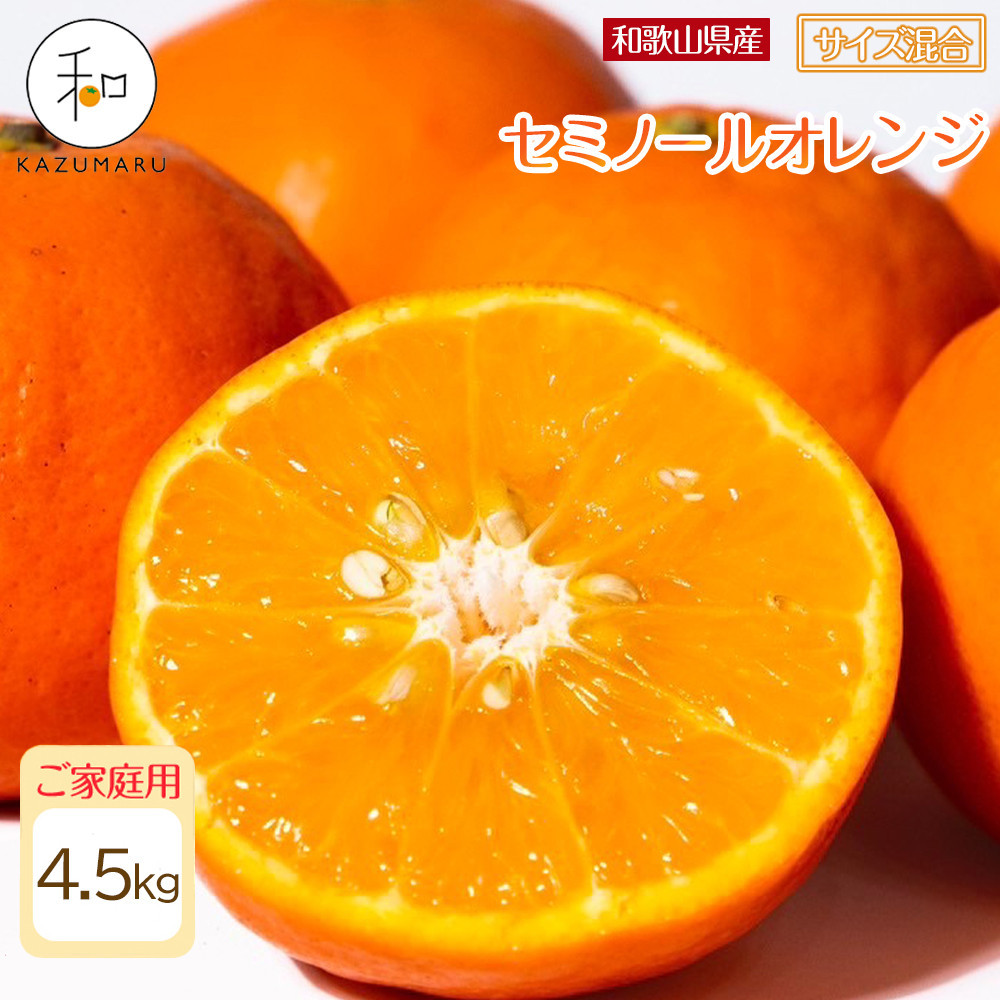 ƒp X{_̎I Z~m[IW 4.5kg a̎RY TCY mkCEEzsnmRN27nm2026N4{珇na̎R쒬8000ʕEt[c݂E