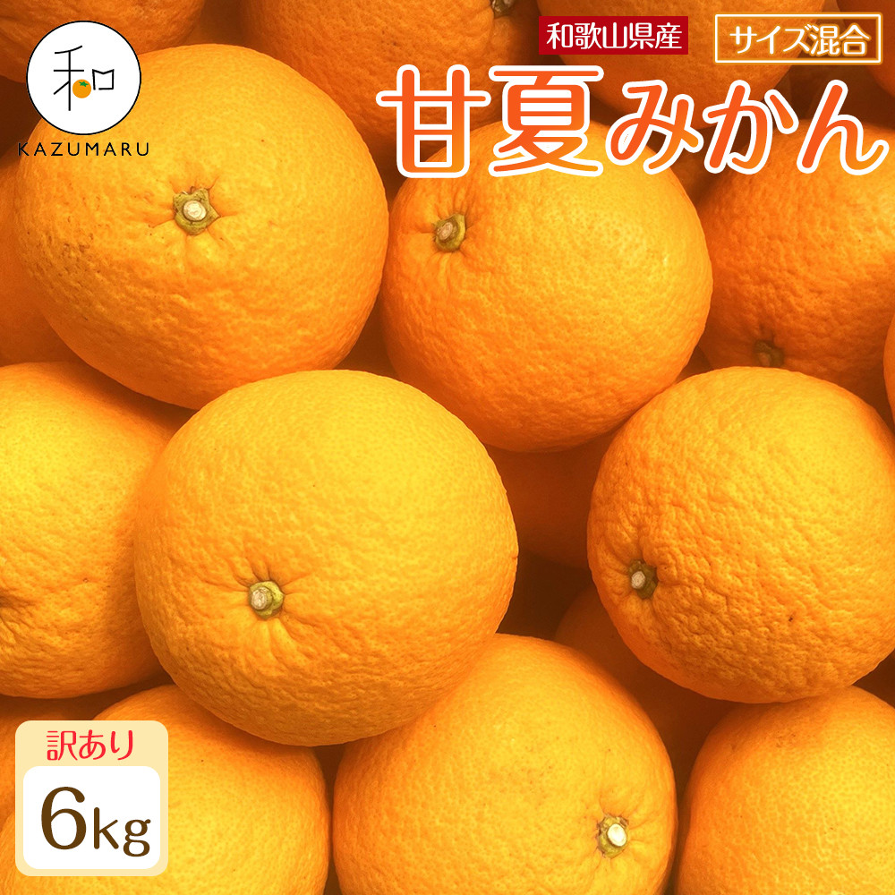 󂠂 X{_̎I ÉĂ݂ 6kg a̎RY TCY mkCEEzsnm2026N4{珇nmRN74na̎R쒬8000ʕEt[c݂Ek