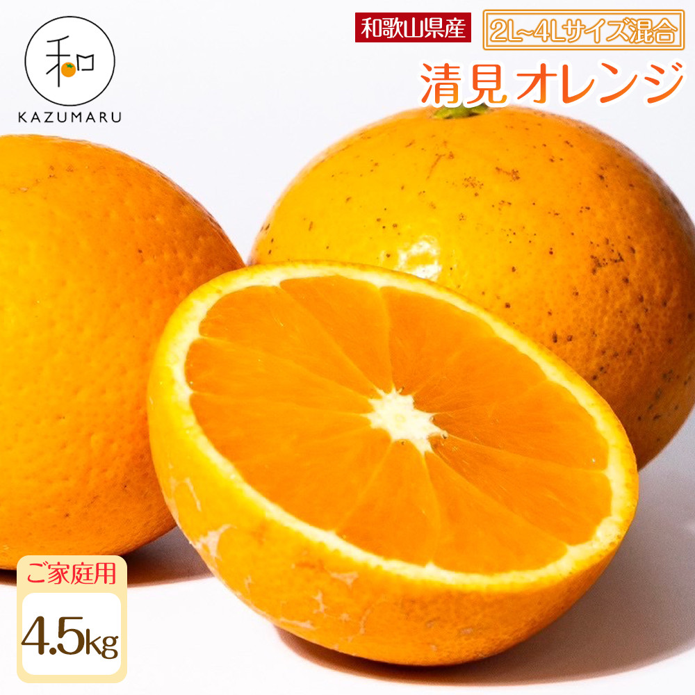 ƒp X{_̎I ʐIW 4.5kg a̎RY 2L~4LTCY mkCEEzsnm2026N2{5{\nmRN100na̎R쒬8000ʕ