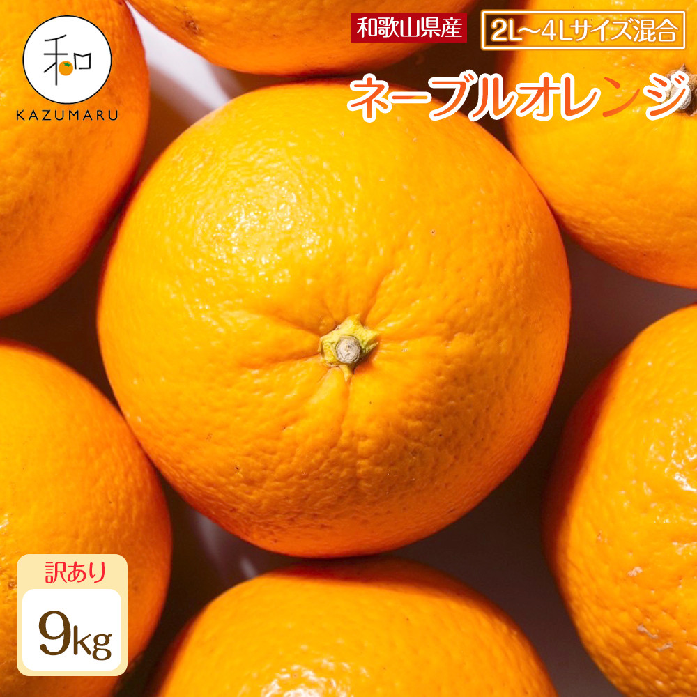 󂠂 X{_̎I ʃl[uIW 9kg a̎RY 2L~4LTCY mkCEEzsnm2026N1{珇nmRN109na̎R쒬10000ʕEt[c