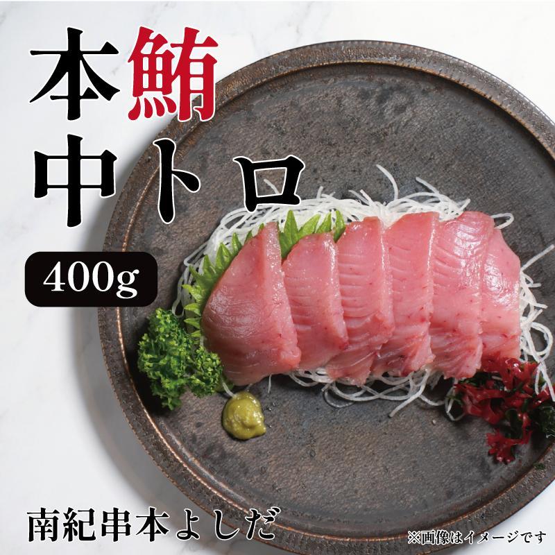南紀串本よしだ 本鮪 中トロ サク400g和歌山県高野町25000魚介・海産物鮮魚