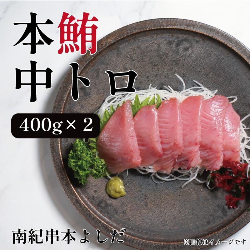 南紀串本よしだ 本鮪 中トロ サク 400g×2 合計 800g和歌山県高野町40000魚介・海産物鮮魚