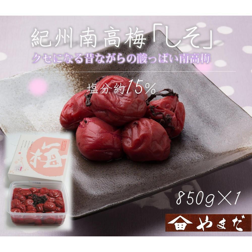 IB썂~  15 850g mYM6na̎R쒬12000ZbgE؁EHHiЕE~EL`