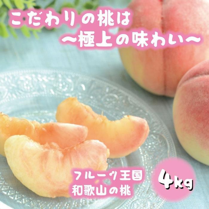 t[c a̎R   4kgifr-07j_ s\ 2026N6{7{mMS108na̎R쒬27000ʕEt[cE