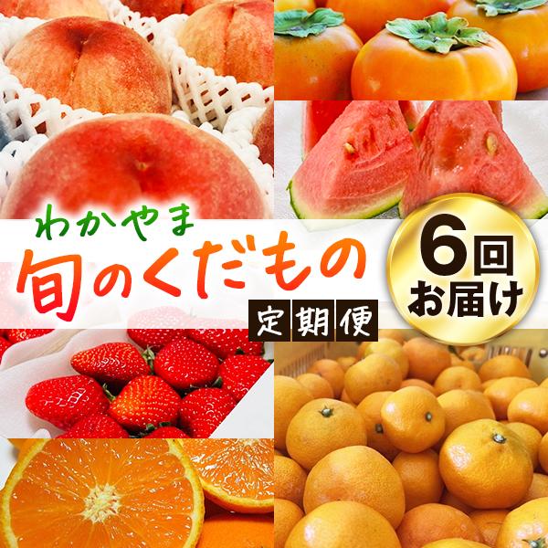 わかやま旬のくだもの定期便 全6回【S】【1・3・6・7・10・11月発送 】※北海道・沖縄・離島への配送不可和歌山県高野町61000果物・フルーツその他 果物・フルーツ