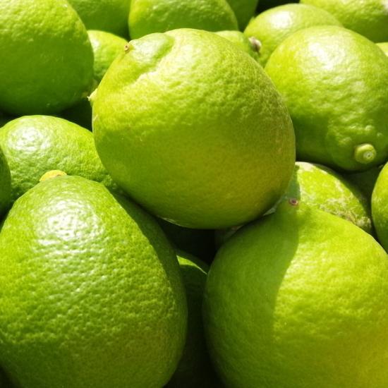 IBa̎R Lciƒpj5kg ms\nmYnm_nmm[bNXEm[h܁nmMS71na̎R쒬12000ʕEt[c݂Ek