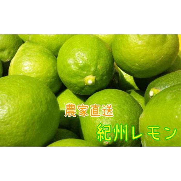 _ƒ IB  2kgyMS94za̎R쒬8000ʕEt[c݂Ek