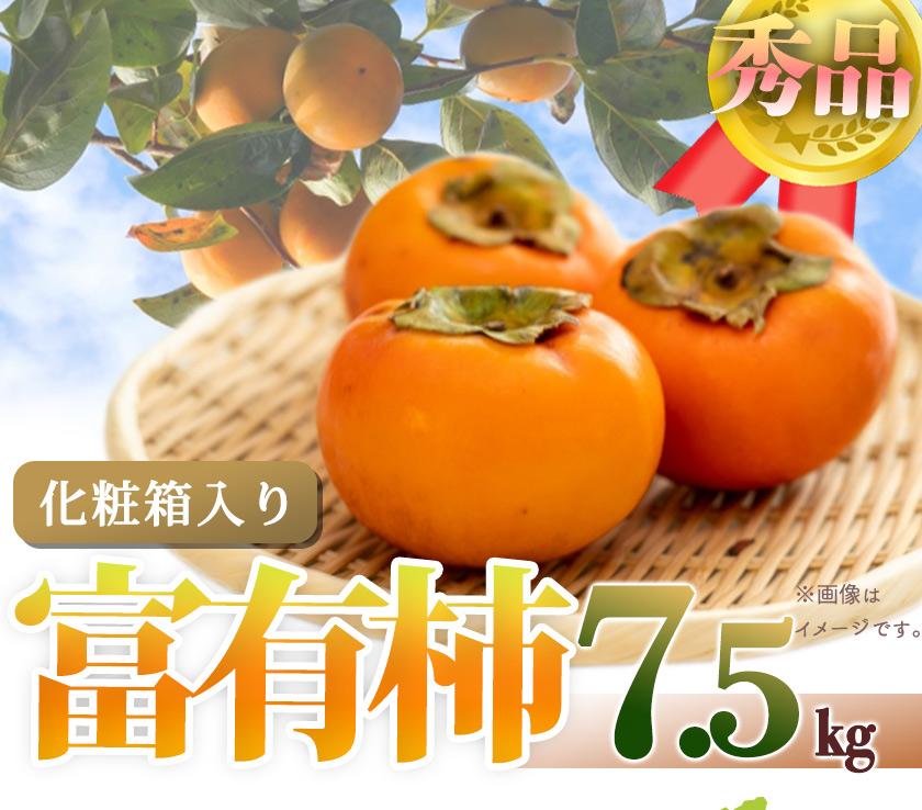 和歌山秋の味覚 富有柿 約7.5kg「2025年11月上旬以降発送予定」【UT48】和歌山県高野町22000果物・フルーツその他 果物・フルーツ