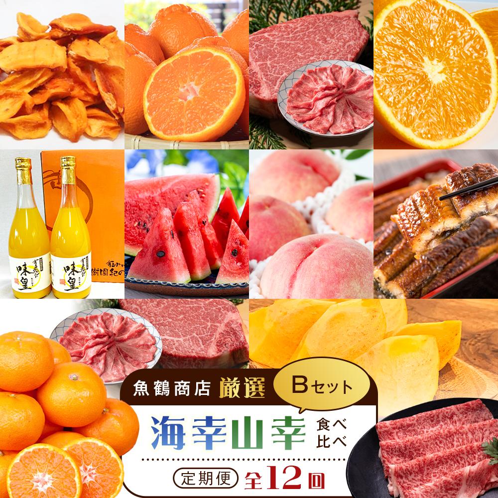 【魚鶴商店厳選!】人気の海幸山幸食べ比べ【定期便全12回】セットB【UT110】和歌山県高野町244000果物・フルーツみかん・柑橘類