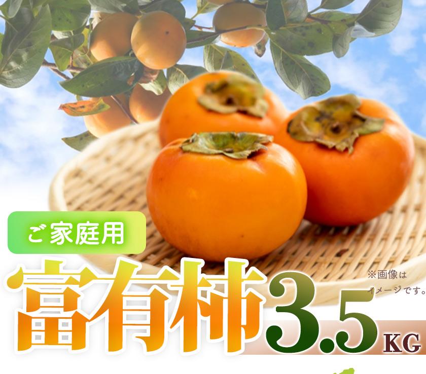 【ご家庭用わけあり】和歌山秋の味覚 富有柿 約3.5kg 「2025年11月上旬以降発送予定」【UT51】和歌山県高野町12000果物・フルーツその他 果物・フルーツ
