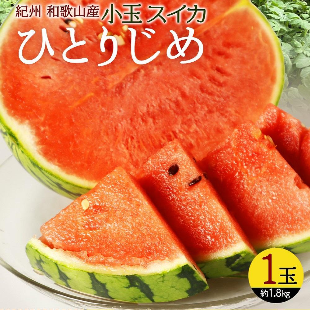 紀州和歌山産 小玉スイカ「ひとりじめ」 1玉【2026年6月中旬頃〜2026年7月上旬頃に順次発送】【UT85】和歌山県高野町10000果物・フルーツメロン・スイカ