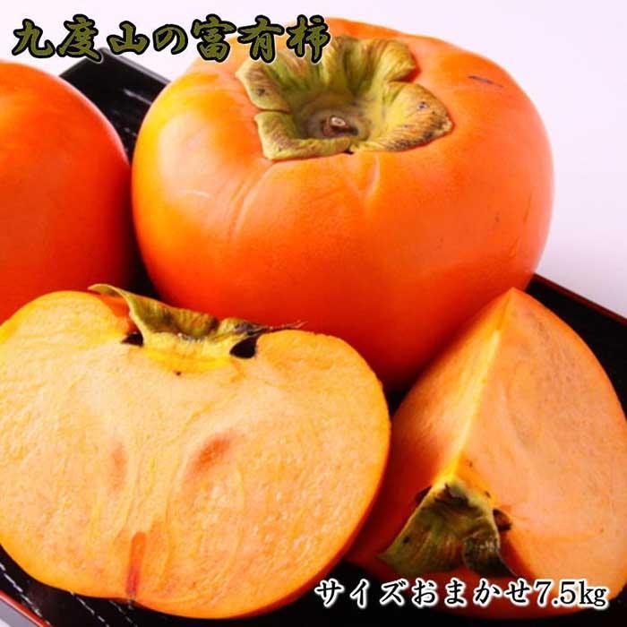 ≪柿の名産地≫九度山の富有柿約7.5kgサイズおまかせ★2025年11月上旬頃より順次発送【TM2】和歌山県高野町19000果物・フルーツその他 果物・フルーツ