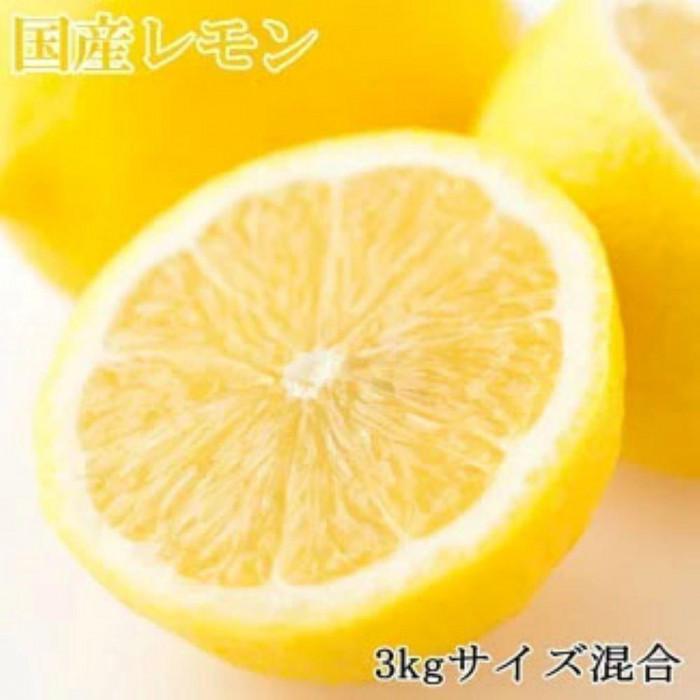 【産直】和歌山産レモン約3kg(サイズ混合)★2026年3月中旬頃より順次発送【TM150】和歌山県高野町12000果物・フルーツみかん・柑橘類