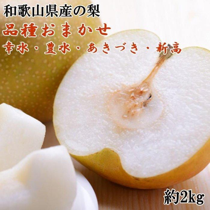 和歌山県産の梨約2kg(品種おまかせ)★2026年8月下旬頃より順次発送【TM181】和歌山県高野町13000果物・フルーツりんご・梨