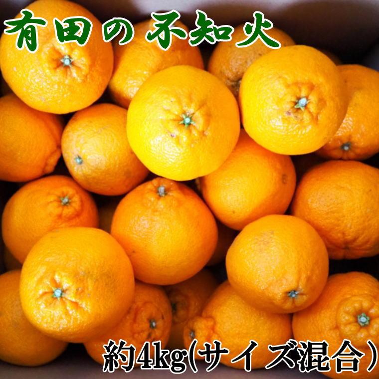 【濃厚】有田産不知火約4kg(2L〜5Lサイズ混合)★2025年2月上旬頃より順次発送【TM37】和歌山県高野町13000果物・フルーツみかん・柑橘類