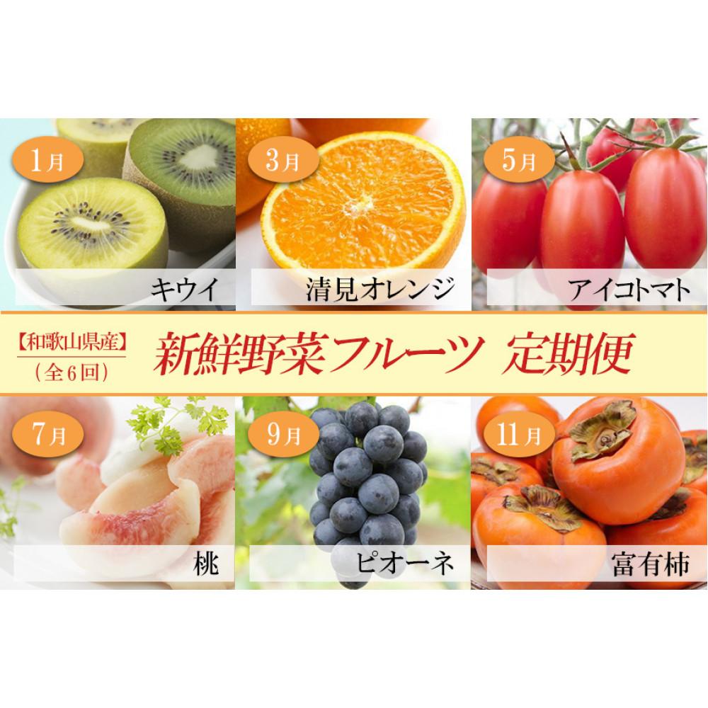 和歌山の旬の果実を 奇数月にお届け全6回定期便(キウイ・清見オレンジ・ミニトマト・桃・ピオーネ・富有柿)【TM62】和歌山県高野町93000果物・フルーツその他 果物・フルーツ