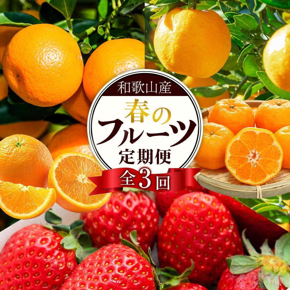 定期便全3回 【2月・3月・4月発送】 和歌山の春のフルーツ (ポンカン・清見オレンジ・まりひめ)【TM174】和歌山県高野町33000果物・フルーツその他 果物・フルーツ