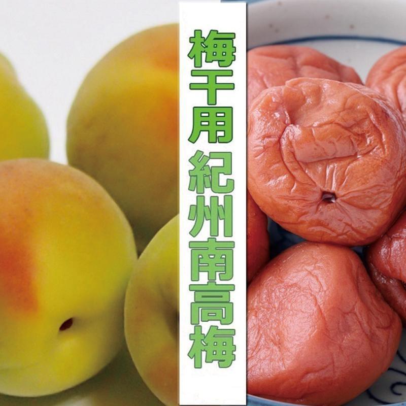 m~E~pni4L܂3L|2Kgjn썂~2026N6{`77\聄t[c ʕ  Hi lC  mART10na̎R쒬28000ʕEt[c̑ ʕEt[