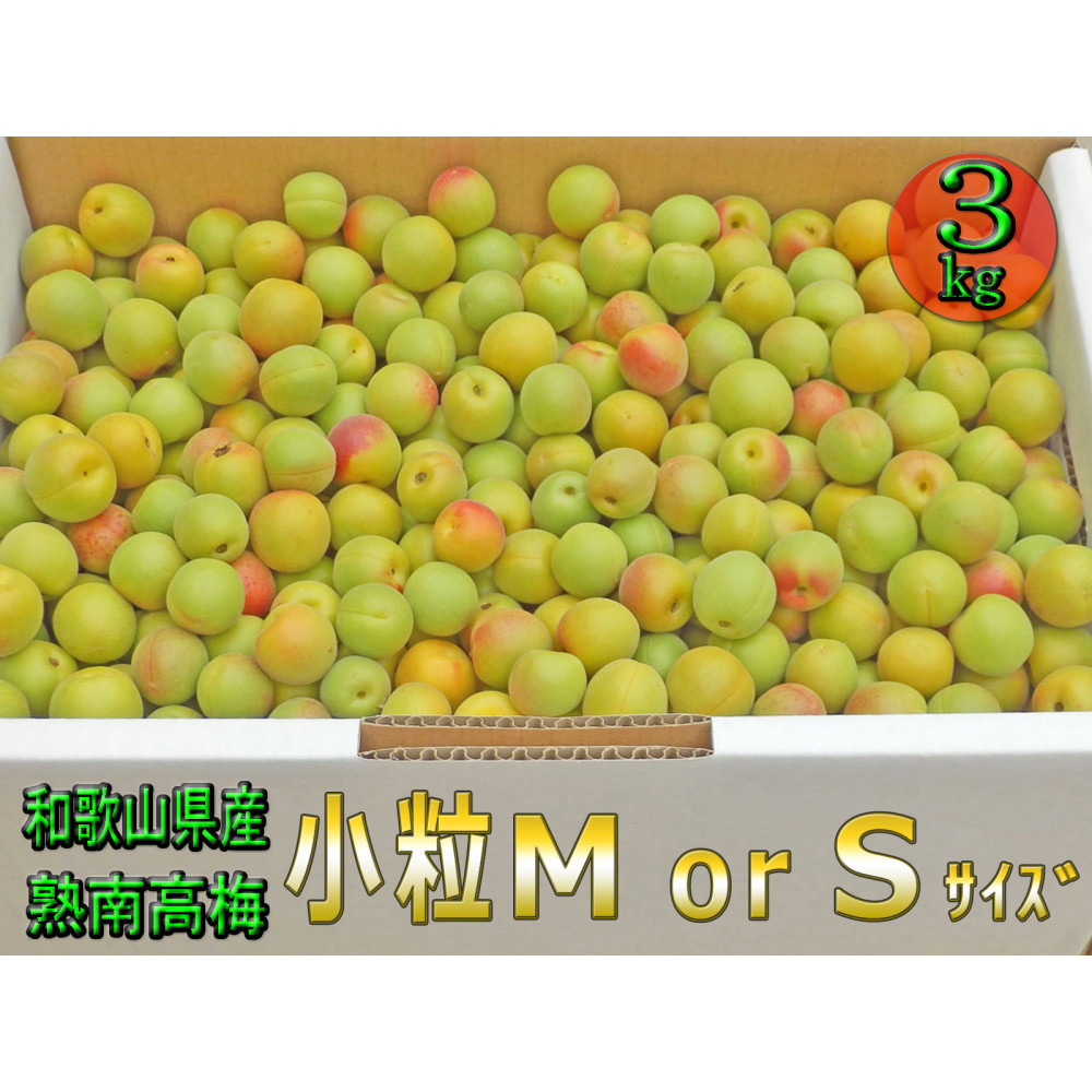 m~E~pniS܂M|3Kgjn썂~2026N6{`7{\聄t[c ʕ  Hi lC  mART20na̎R쒬15000ʕEt[c̑ ʕEt