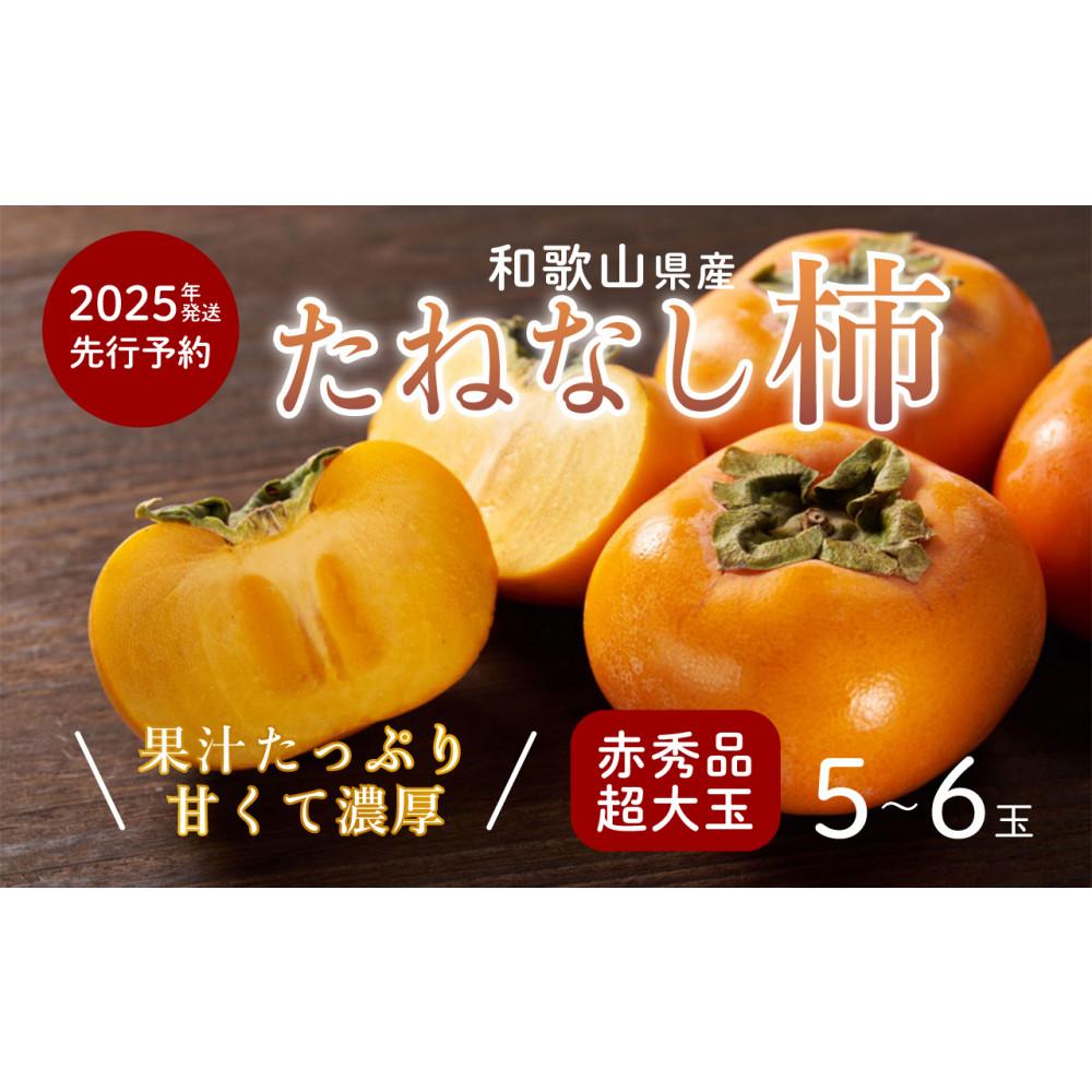 柿 種無し 赤秀品 超大玉 1.8kg 5〜6個 【先行予約】【2025年9月下旬頃から発送】【KG4】和歌山県高野町10000果物・フルーツその他 果物・フルーツ