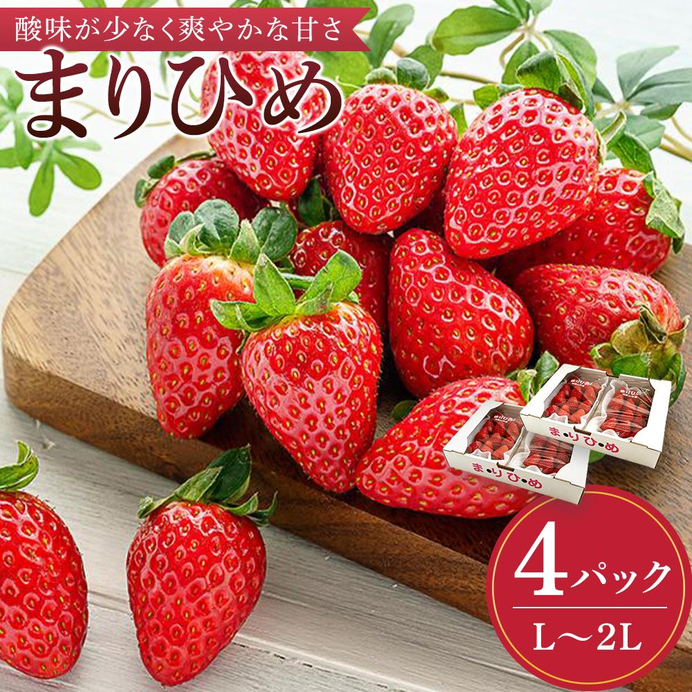 ܂Ђ߃C`S L`QL 12`15×4pbNm2026N1{甭nms̔nmKG8na̎R쒬20000ʕEt[c