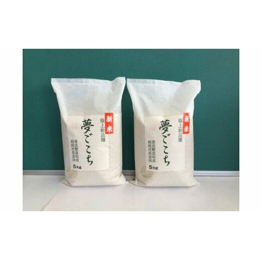 【新米】【7年産】近江米夢ごこち【5kg×2袋】【T035W1】滋賀県近江八幡市42000米・パン白米