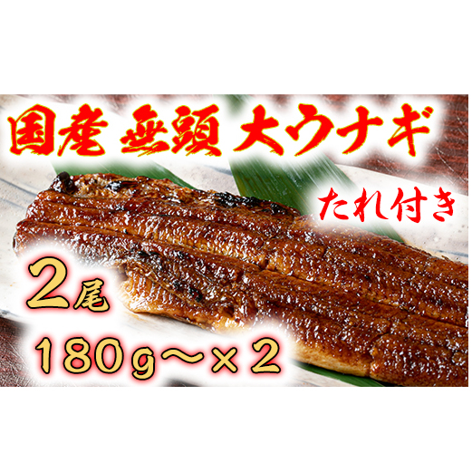 国産うなぎ 備長炭地焼き蒲焼き180g以上×2尾 タレ付き×2【FU02W】滋賀県近江八幡市33000魚介・海産物うなぎ