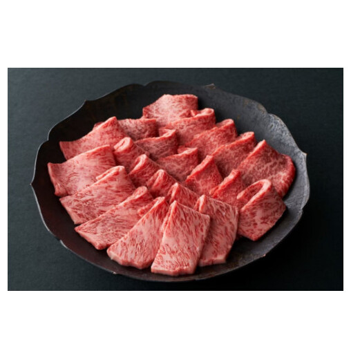 ߍ]ēpw~×Ԑg̃~bNXxy550gzyՊρzyFR07Wzꌧߍ]s44000