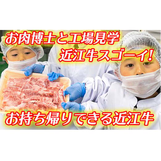 mƍHꌩw@ߍ]XS[CI`Ałߍ]500gt`yCB13Wzꌧߍ]s19000