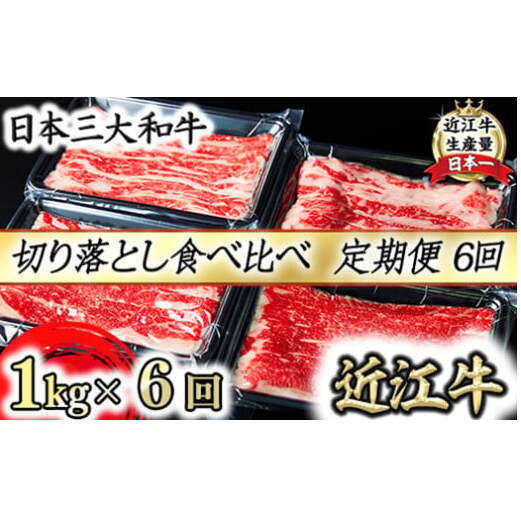 【定期便】全6回 A5 近江牛切り落とし食べ比べ  250g×4p【FO27W】滋賀県近江八幡市134000肉牛肉