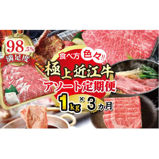 【期間限定】極上近江牛1kg 食べ方色々!アソート定期便【ZZ50W】滋賀県近江八幡市153000肉牛肉