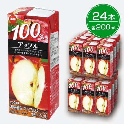 毎日牛乳 毎日100%アップル 200ml紙パック×24本入【1282176】大阪府和泉市9000お茶・飲料果汁・野菜飲料
