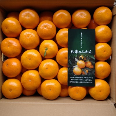 隠れ名産地 和泉みかん温州早生(小玉中玉大玉サイズミックス) 10kg【1535225】大阪府和泉市15000果物・フルーツみかん・柑橘類