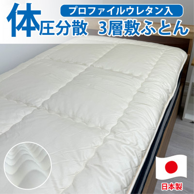 yVOz{ ̈Uvt@CE^~ӂƂ100×210cm@HGP-Py1559630z{as77000G݁EpiQE^I