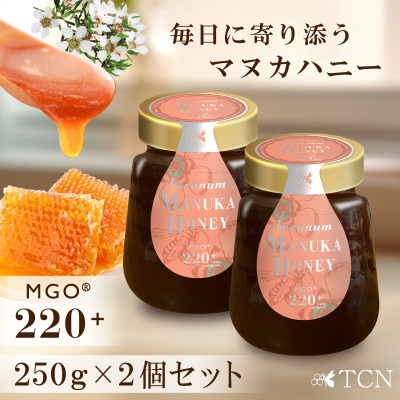 【2個セット】インカナム マヌカハニー MGO 220+ 250g【1606254】大阪府和泉市42000鍋セット・総菜・加工食品ジャム・はちみつ