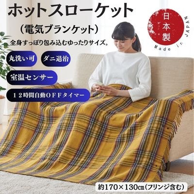 zbgX[Pbg@(dCuPbg)@J[L[(170×130cm)y1608417z{as65000diƓd