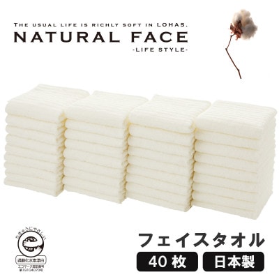 エコロジーフェイスタオル40枚セット【1647033】大阪府和泉市28000雑貨・日用品寝具・タオル