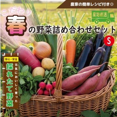 【こだわり春の野菜詰め合わせセット】Sサイズ 栽培期間中農薬・化学肥料・除草剤不使用の旬野菜【配送不可地域:離島】【1679691】大阪府和泉市4000野菜・きのこその他 野菜