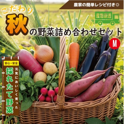 【こだわり秋の野菜詰め合わせセット】Mサイズ 栽培期間中農薬・化学肥料・除草剤不使用の旬野菜【配送不可地域:離島】【1679693】大阪府和泉市8000野菜・きのこその他 野菜