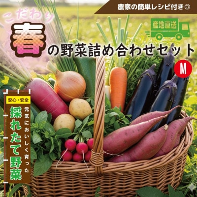 【こだわり春の野菜詰め合わせセット】Mサイズ 栽培期間中農薬・化学肥料・除草剤不使用の旬野菜【配送不可地域:離島】【1679694】大阪府和泉市8000野菜・きのこその他 野菜