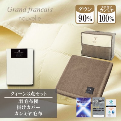 【クィーン】羽毛布団(掛カバー付) ハンガリー産ダウン90%&カシミヤ毛布【複数個口で配送】【4075178】大阪府和泉市390000雑貨・日用品寝具・タオル