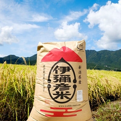 【令和7年産・皇室献上米 伊彌彦米コシヒカリ】玄米30kg (2018年新嘗祭献上) 新潟県 弥彦村【1053536】新潟県弥彦村74000米・パン白米