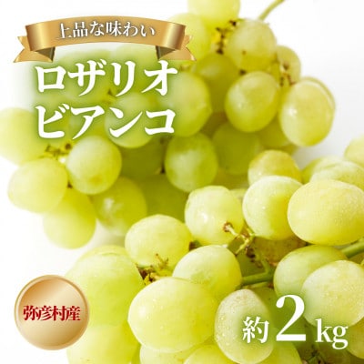 yiȖ킢zF_Ƃ̂̈iuUIrARv 2kg Ԃǂ V FyzsnFzy1085938zVF13000ʕEt[c}XJbgEԂǂ