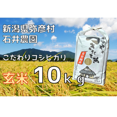 新潟県弥彦村石井農園 令和7年産コシヒカリ【玄米 10kg】【1508846】新潟県弥彦村24000米・パン玄米・雑穀米・もち米・餅