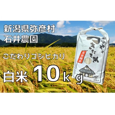 新潟県弥彦村石井農園 令和7年産コシヒカリ【白米 10kg】【1508847】新潟県弥彦村27000米・パン白米