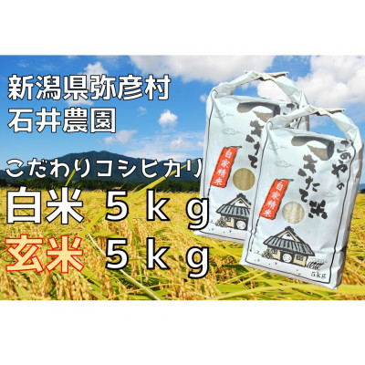 新県弥彦村石井農園 令和7年産コシヒカリ白米・玄米 食べ比べセット【白米5kg、玄米5kg】【1508848】新潟県弥彦村27000米・パン玄米・雑穀米・もち米・餅
