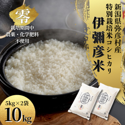 令和7年産 新潟県産 栽培期間中農薬不使用 コシヒカリ「伊彌彦米 零(ぜろ)」 10kg【1517172】新潟県弥彦村35000米・パン白米