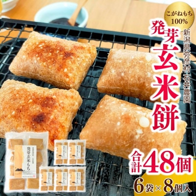 ぷちぷち食感がたまらない「発芽玄米餅」 6袋 新潟県弥彦村産「こがねもち」100%使用【1554475】新潟県弥彦村18000米・パン玄米・雑穀米・もち米・餅